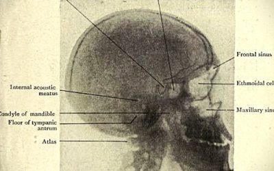 La santé à Bruxelles : des initiatives concrètes soutenues par la COCOF